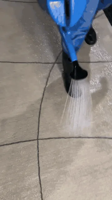 Higienização profissional de tapetes pela GBlimp