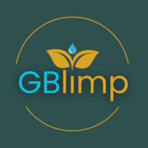 IMAGEM DA LOGOMARCA DA EMPRESA GB LIMP ESPECIALIZADA EM LIMPEZA, HIGIENIZAÇÃO E IMPERMEABILIZAÇÃO DE ESTOFADOS